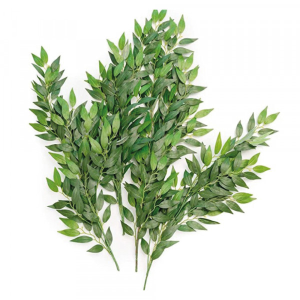 RUSCUS-ISRAELI